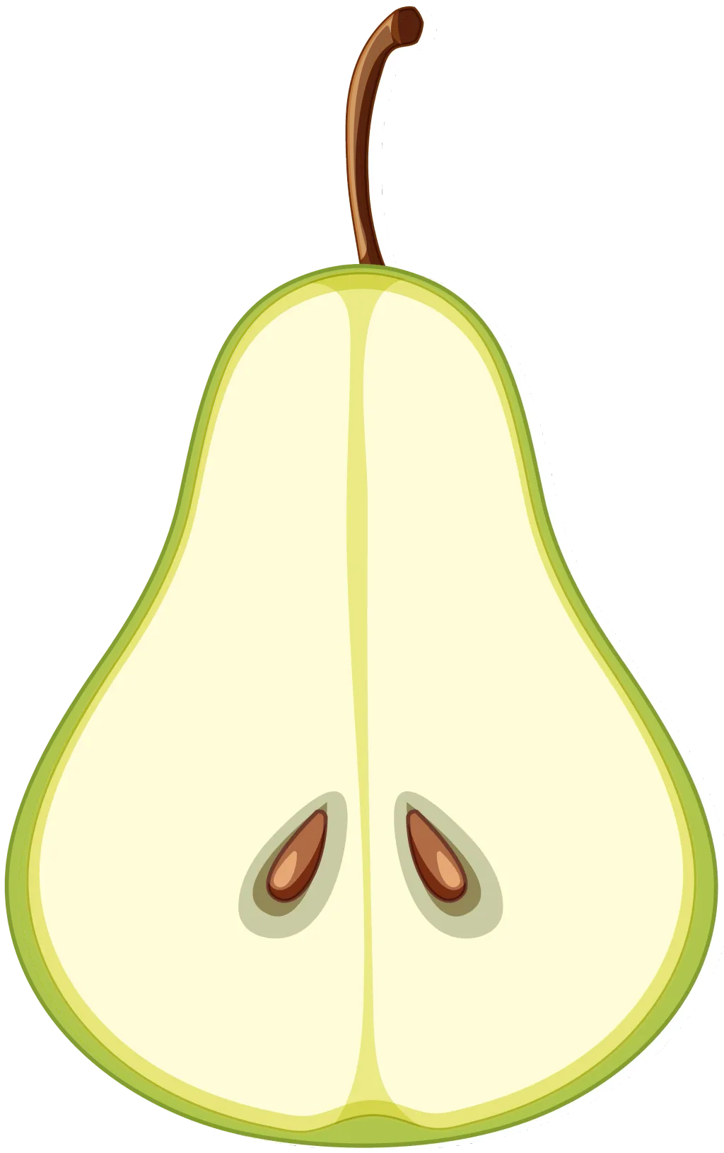 Graphic of halved pair without skin